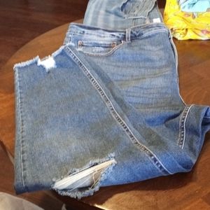 Terra Sky High Rise Crop